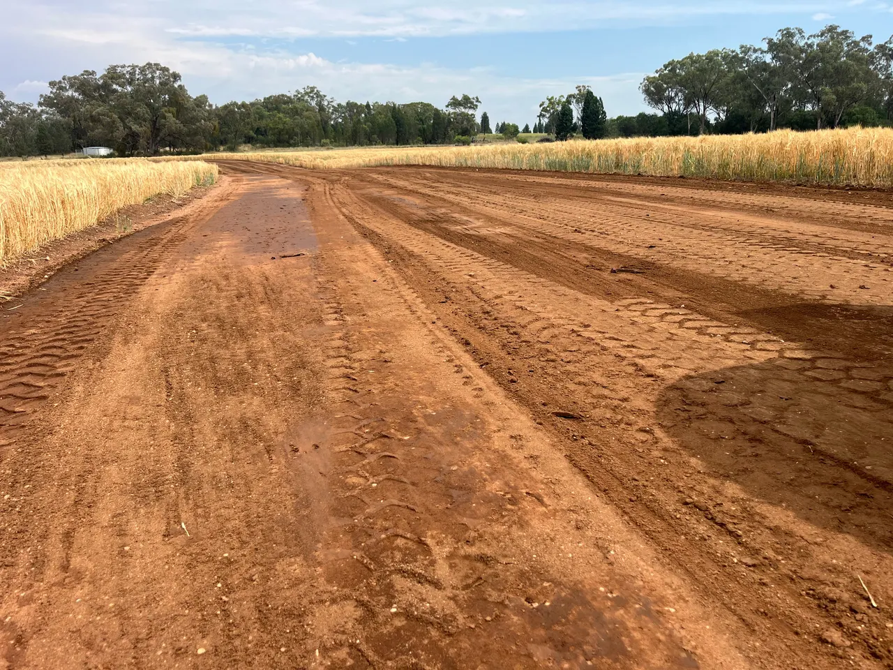 MTB Earthmoving — recent project